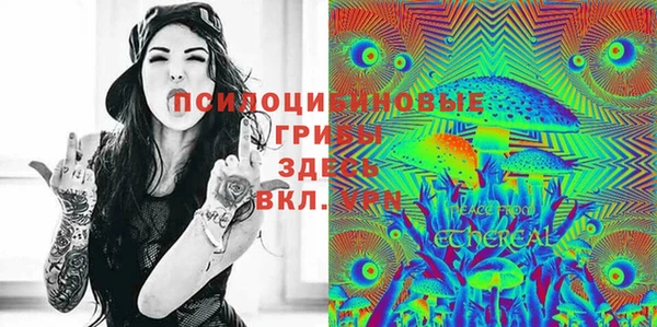 ECSTASY Алексин