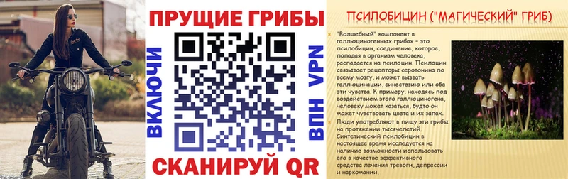 Галлюциногенные грибы Cubensis  Камызяк 